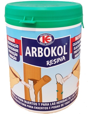 Arbokol Pasta Cicatrizante 500 gr